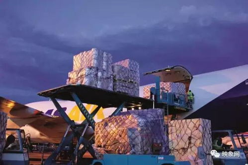 河南普通貨運(yùn)五年發(fā)展紀(jì)實(shí) 構(gòu)建高效物流體系，助力區(qū)域經(jīng)濟(jì)騰飛